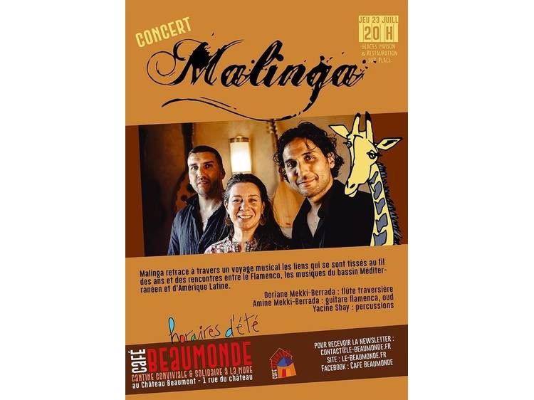 Photo 1 Concert Trio Malinga
