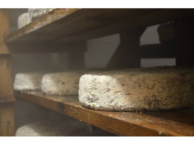 Photo 3 Les Mercredis des fermes en Matheysine - La Ferme de Sainte Luce