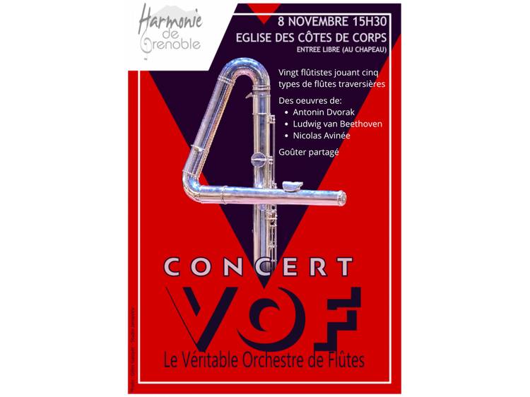Photo 1 Concert "Le véritable orchestre de flûtes"