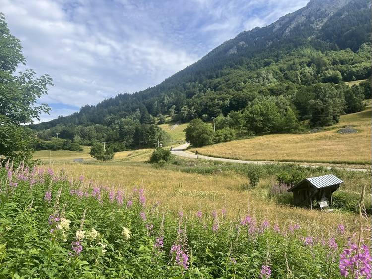 Photo 5 Randonnée pédestre en famille - A la rencontre des Marmottes