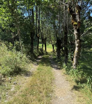 Moulin Vieux par les Mazoirs - Parcours VAE bleu