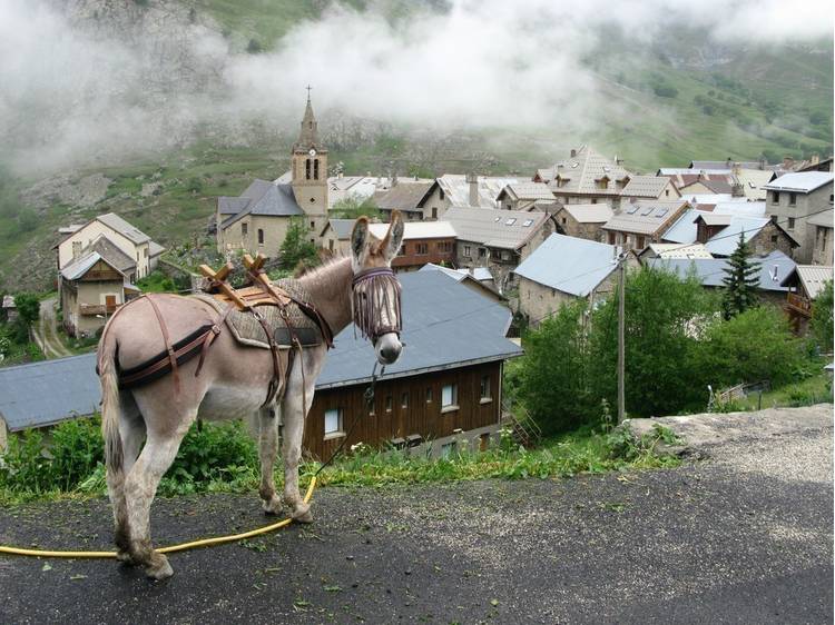 Photo 6 Randonnée itinérante avec âne