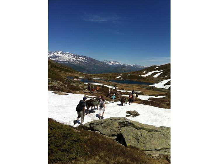 Photo 3 Randonnée itinérante avec âne