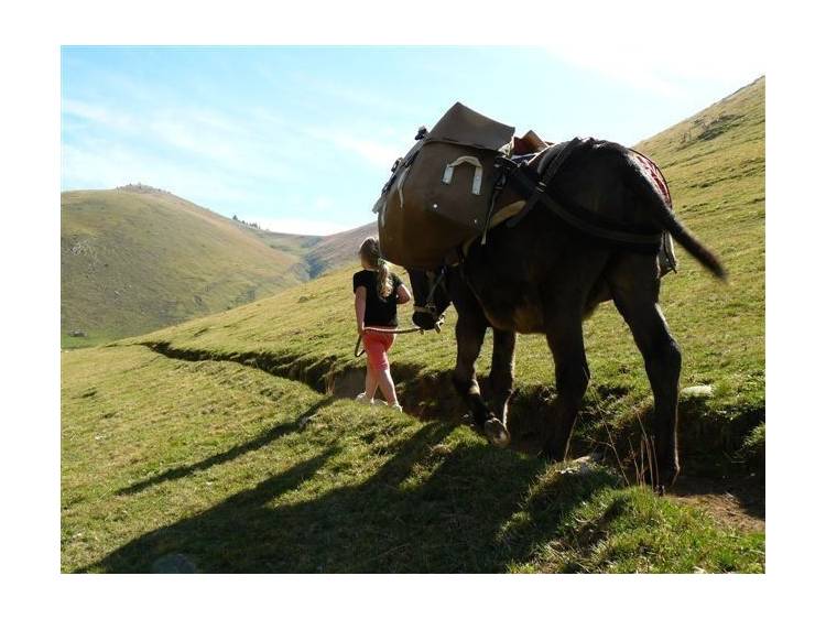 Photo 4 Randonnée itinérante avec âne