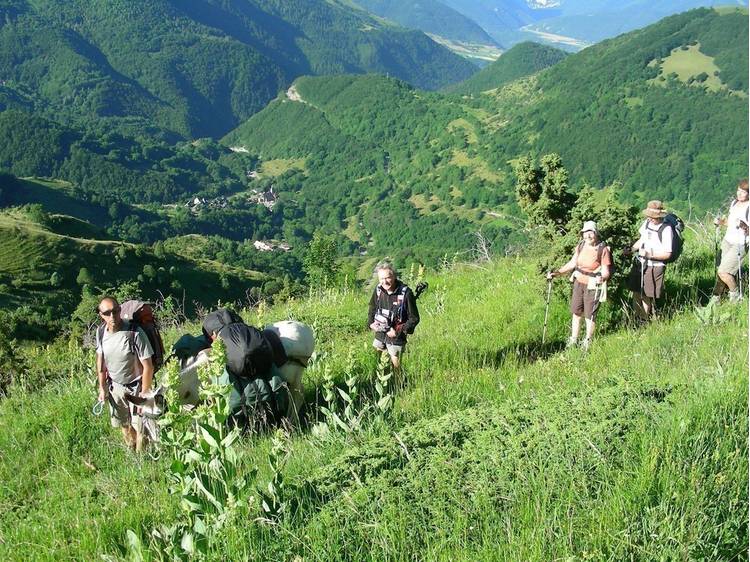 Photo 5 Randonnée itinérante avec âne