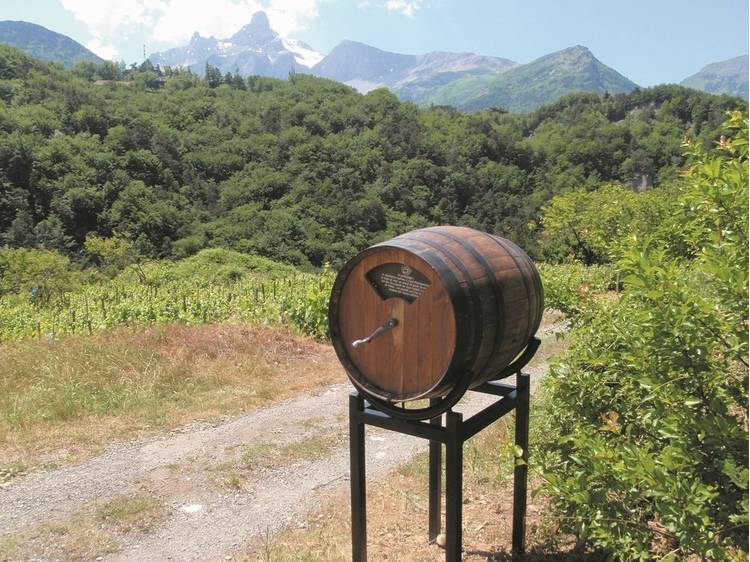 Photo 1 Circuit pédestre : Sentier thématique de la Sézia