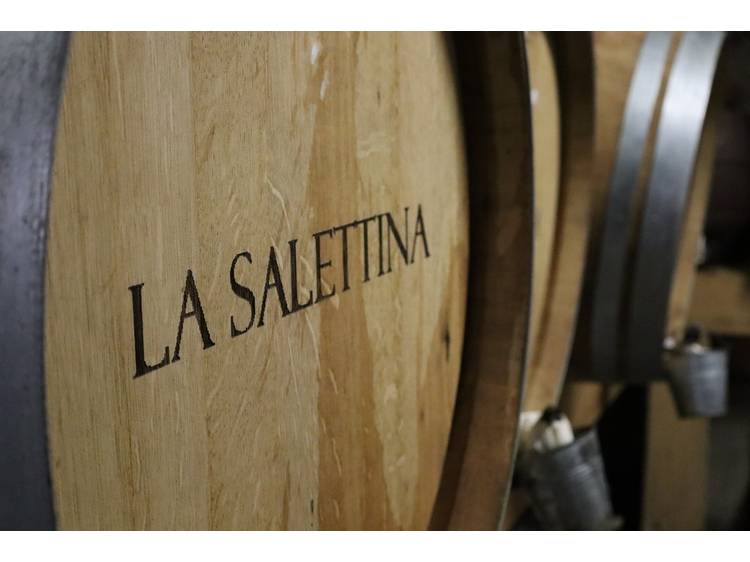 Photo 13 Maison Salettina - Distillerie