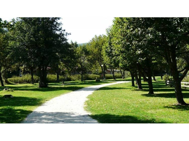 Photo 19 Camping Ser Sirant