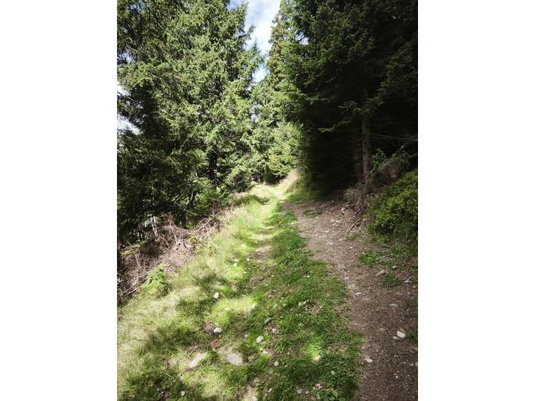 Photo 2 Rando-poussette du Pré des Dames- Itinéraire pédestre