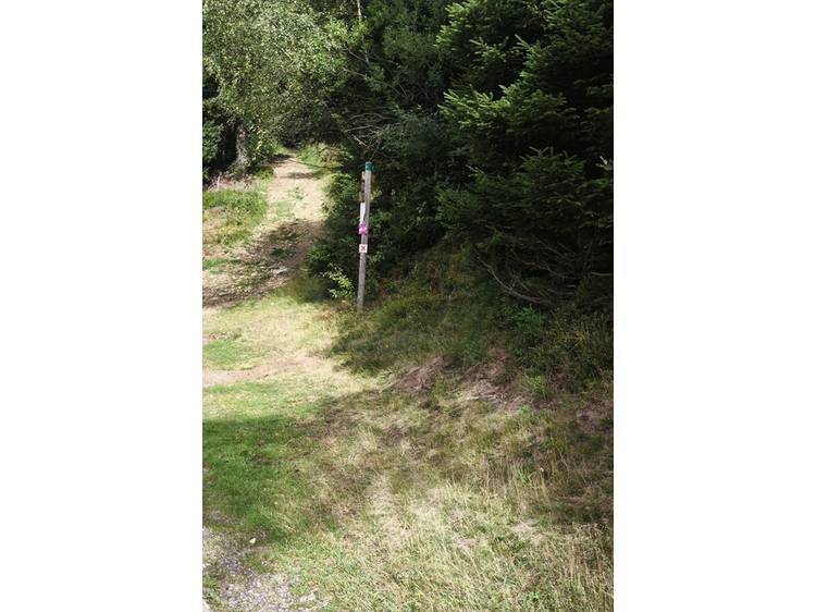 Photo 1 Rando-poussette du Pré des Dames- Itinéraire pédestre