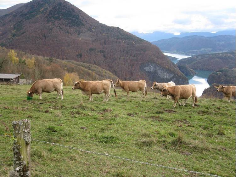 Photo 2 La ferme du parc