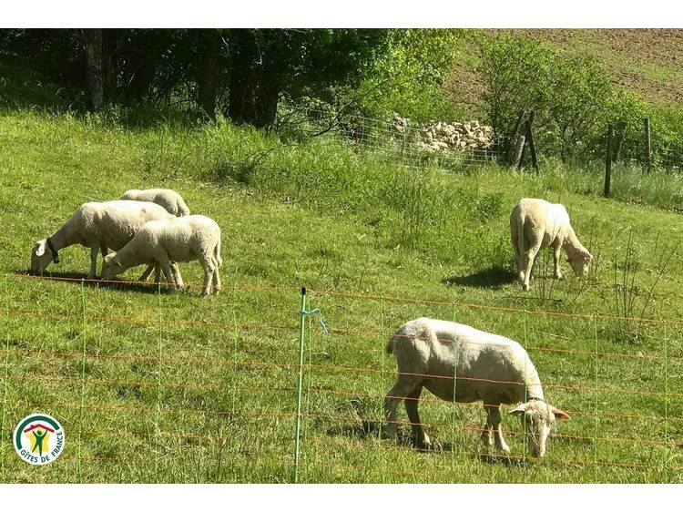 Photo 23 Gîte La Grange des Chambons - 12 pers