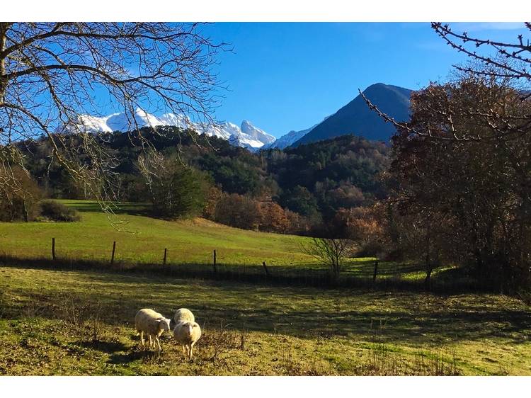 Photo 26 Gîte La Grange des Chambons - 12 people