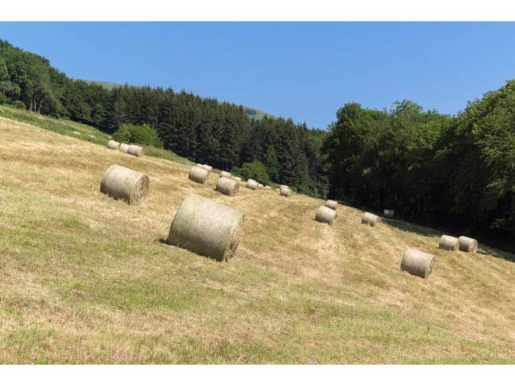 Photo 23 Gîte l'Echappée Belle - 4 guests