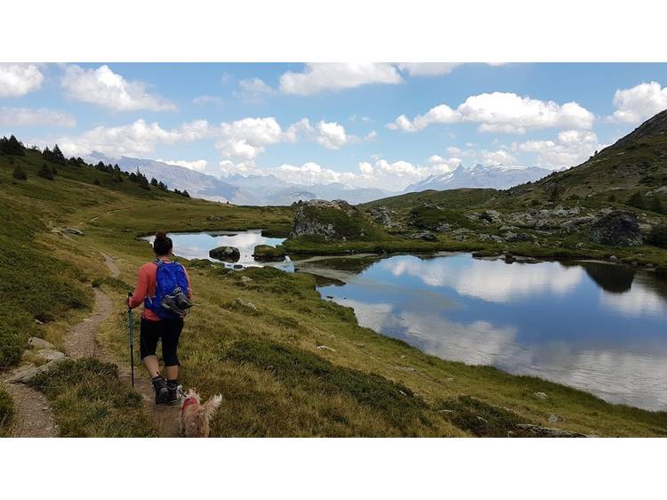 Photo 4 Randonnée pédestre : Lac Fourchu et le Plateau des lacs
