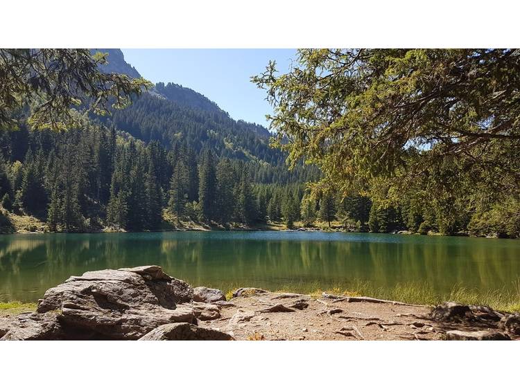 Photo 7 Randonnée pédestre : Lac Fourchu et le Plateau des lacs