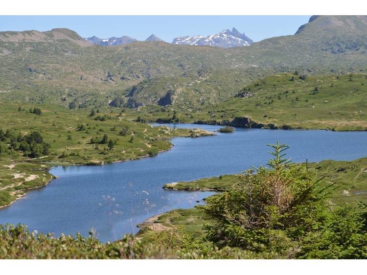 Photo 10 Randonnée pédestre : Lac Fourchu et le Plateau des lacs