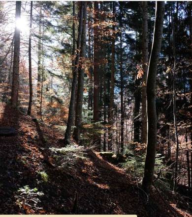 Randonnée pédestre : Le sentier du Facteur