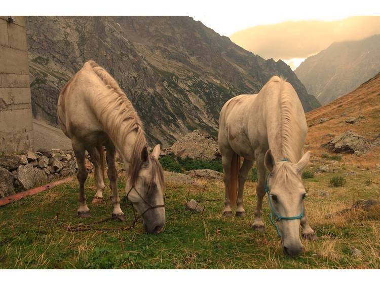 Photo 4 Refuge de Font Turbat