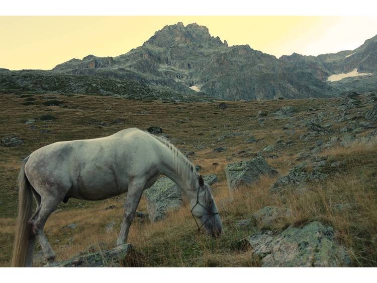 Photo 5 Refuge de Font Turbat