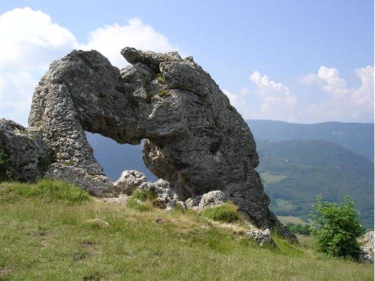 Photo 15 Gîte le Pellenfrey - 6 pers -