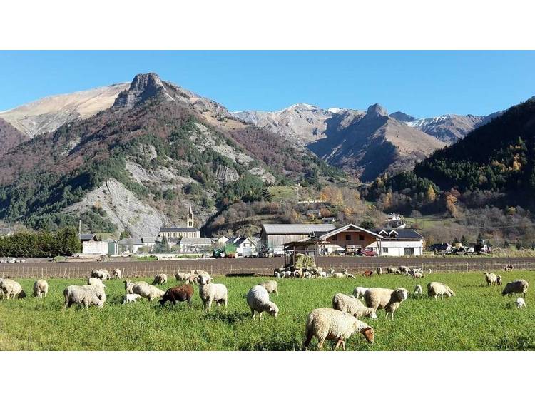 Photo 62 Gîte Les Clottous - 12 personnes