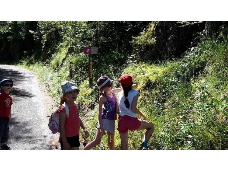 Photo 70 Gîte Les Clottous - 12 personnes