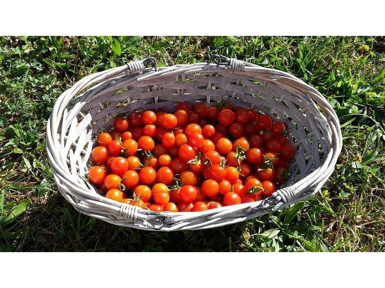 Photo 22 Gîte Les Clottous - 12 personnes