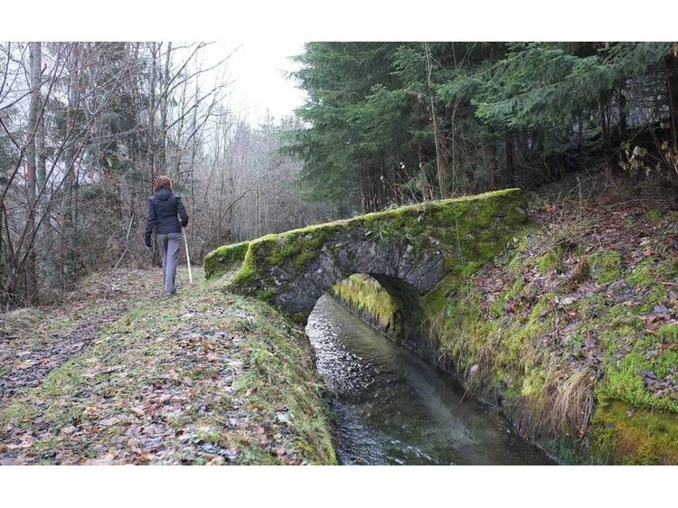 Photo 25 Gîte Les Clottous - 12 personnes