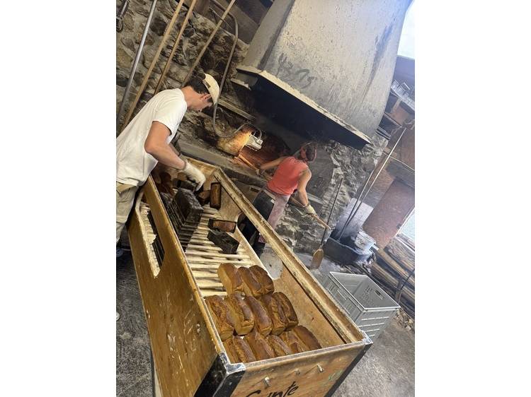 Photo 13 Gaec Sainte Luce