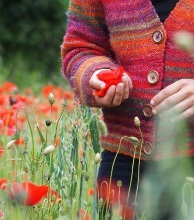 L'atelier des Plantes