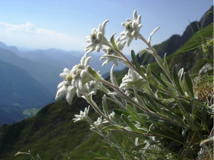 Photo 44 Au Clair Matin - from 2 to 5 ppl