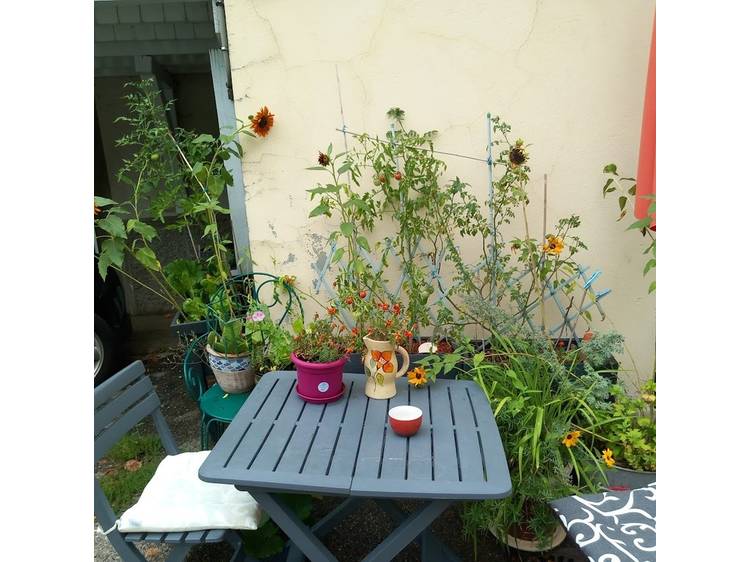 Photo 6 Chambres chez l'habitant - Annie Ritton - 1 à 2 pers