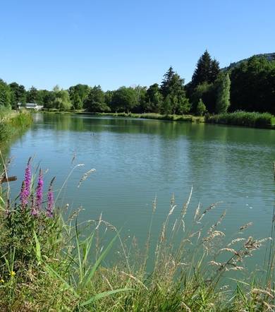 Etang du Crey stroller ride