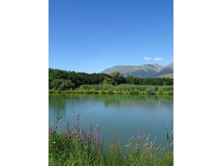 Photo 2 Etang du Crey stroller ride
