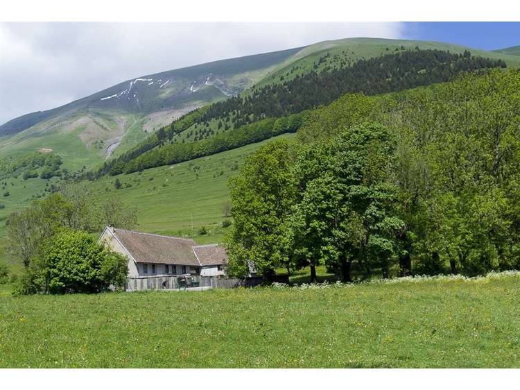 Photo 2 Le Mas - 4 to 38 people