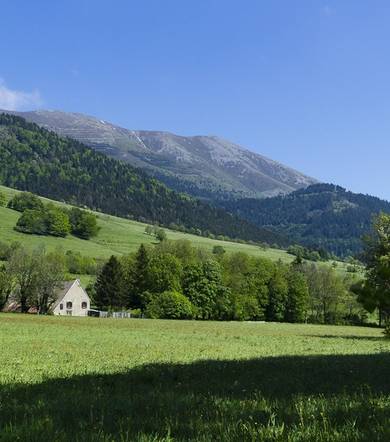 Le Mas - 4 à 38 personnes