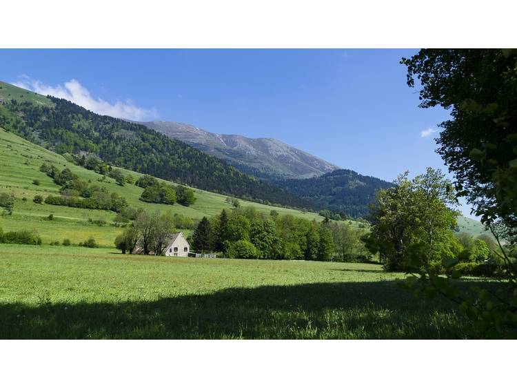 Photo 1 Le Mas - 4 à 38 personnes