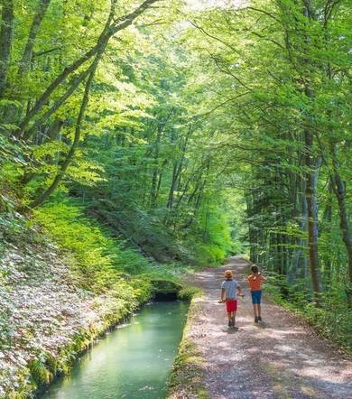 Sentier pédestre : Découverte du Canal du Beaumont - depuis Saint Laurent en Beaumont