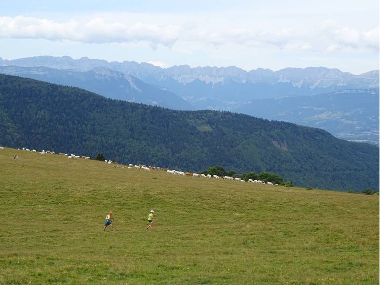 Photo 1 N°11 Le Sénépy VTTAE - Noir